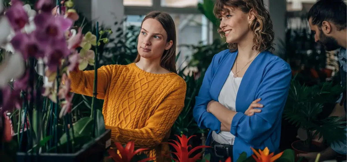 diseño sin título (13) (1)