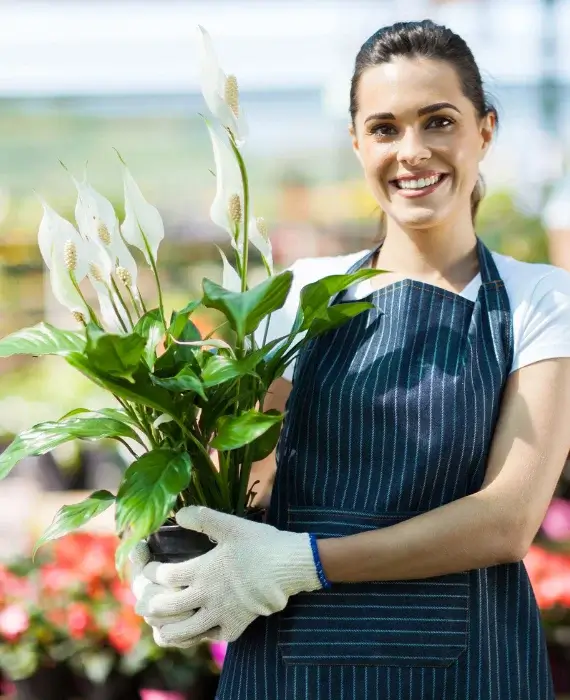 diseño sin título (14) (1)