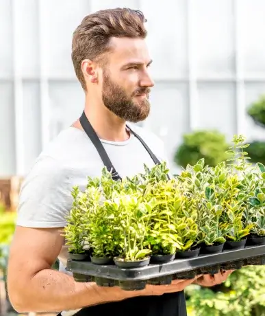 diseño sin título (17) (1)