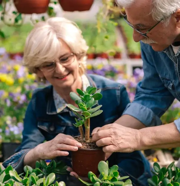 diseño sin título (18) (1)