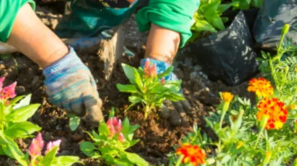 diseño sin título (22) (1)