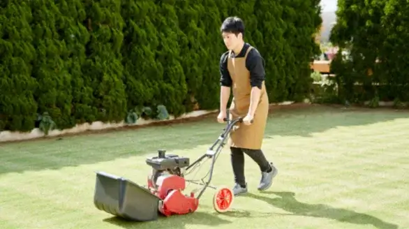 diseño sin título (23) (1)