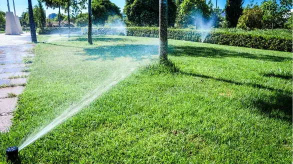 diseño sin título (25) (1)