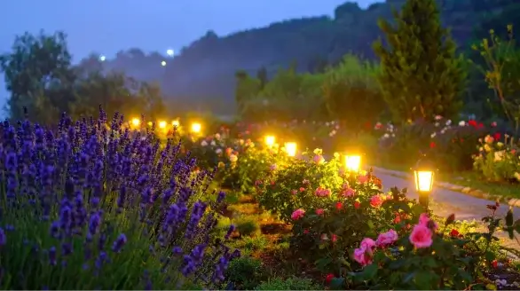 diseño sin título (26) (1)