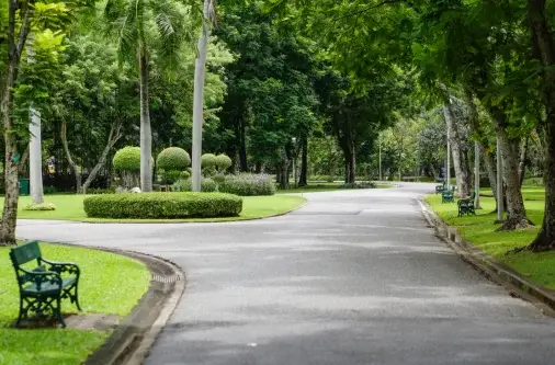 diseño sin título (29) (1)