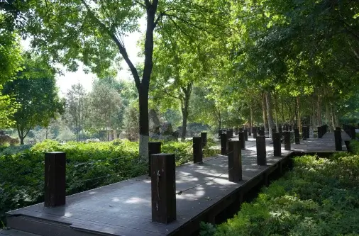 diseño sin título (30) (1)