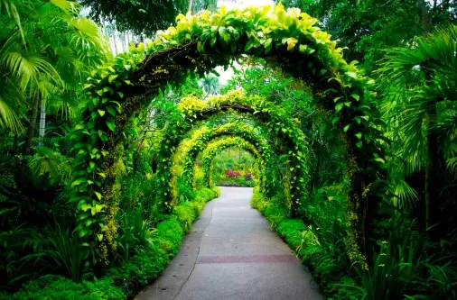 diseño sin título (31) (1)