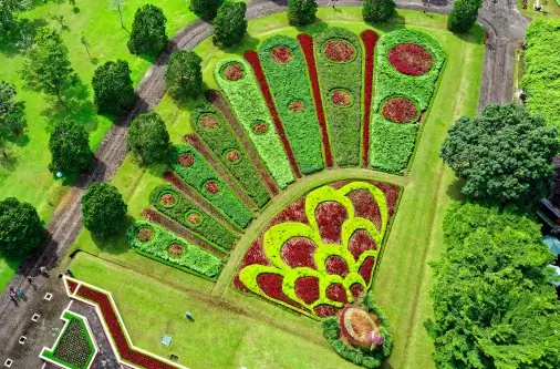 diseño sin título (32) (1)