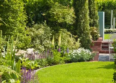 sin título (387 x 280 px) (3)