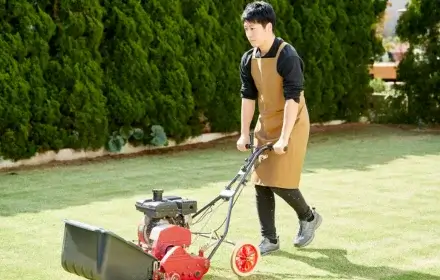 sin título (440 x 280 px) (1) (1)